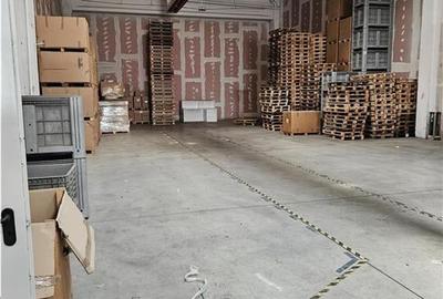 Spatiu Industrial - 3300 mp - Productie - Depozitare - Distributie - 14