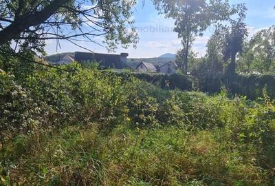 Casa individuala cu 3 camere,CODLEA - DUMBRAVITA ,65000 euro - 8