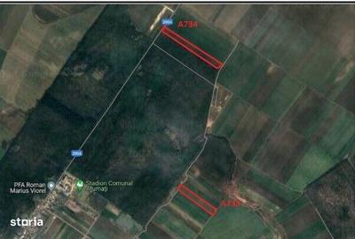 Teren de 10000 mp, în Afumați