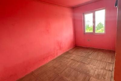 APARTAMENT 3 CAMERE - ROSIORII DE VEDE - - 4