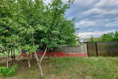 Casă cu 2 camere cu Teren 1400 Mp în Secusigiu - 5