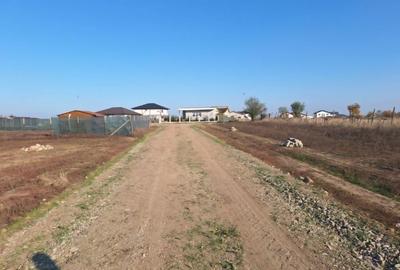 Spațiu comercial, în Ișalnița - 5