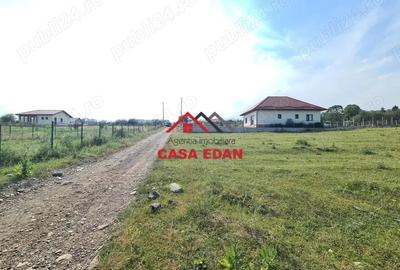 Teren intravilan in Campina, 7500mp--35e - 2