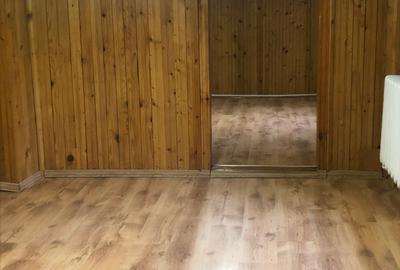 De inchiriat vila independenta pe Vasile Lascar la 5 min de Sos. Stefan cel Mare - 13