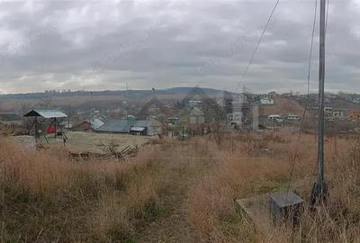 REDIU, teren 3350mp. intravilan cu utilitati trase, (dezv. imobiliara) - 3