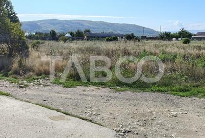 Teren intravilan de vanzare in Sebes zona industriala - 2