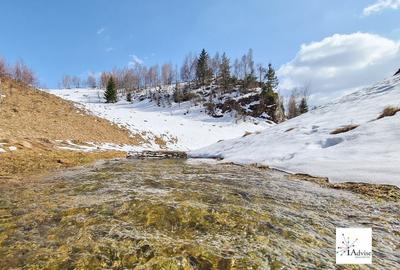 Teren De Vanzare In Sirnea - 18