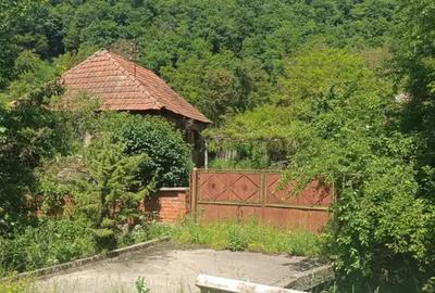 Casa de vanzare Stancesti(Dobra) - 2