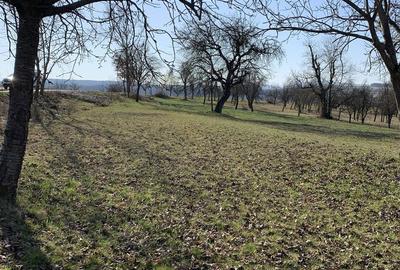 Spațiu comercial, în Șindrești - 4