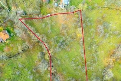 Teren intravilan 4384 mp - Comuna Talea,  judetul Prahova - 6