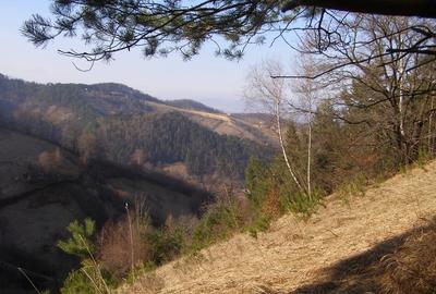 Tren intravilan si casa de lemn  in Brasov - 4