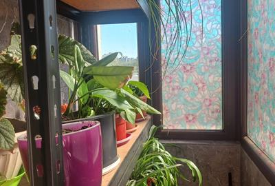 Pantelimon- Parcul Florilor, apartament 3 camere de vanzare - 4