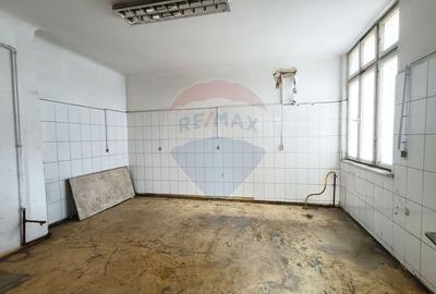 Vanzare Vila Interbelica Stradala, Pta Regina Maria, Ocazie Investitie - 36