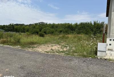 Spațiu comercial, în Corbeanca - 3