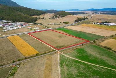 FILM! 60.000 mp, teren intravilan, acces la DN1, Codlea, Brasov - 12