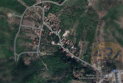 Teren Construcții intravilan de 7089 mp, în Podgoria