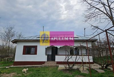 GIURGIU - COM. BUCSANI (SAT OBEDENI) CASA 2 CAM DE VANZARE - 1