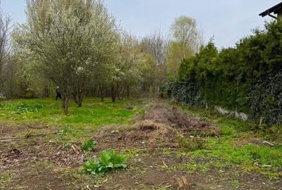 Teren Construcții intravilan de 1000 mp, în Iancu Nicolae - 2