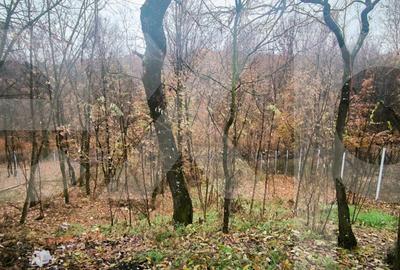 Casă individuală cu 5 camere cu Teren 1060 Mp în Băbana - 15