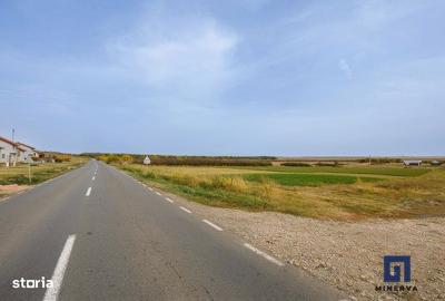 Spațiu comercial, în Pișchia - 8