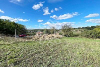 Teren intravilan 5995 mp de vanzare in Hidiselu de Sus - 3