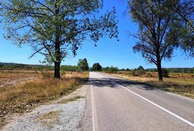 TEREN INTRAVILAN ?I EXTRAVILAN BAIA DE FIER - 5