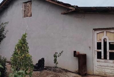 Casă cu Teren 500 Mp în Dioști - 2