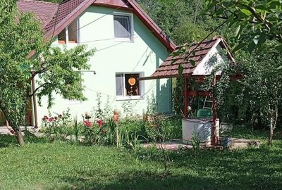Casa de vacanta cu balta de peste de vanzare in Glogovet (Valea Lunga) - Blaj - 2