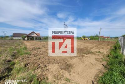 Teren de 1312 mp, în Coltău - 9