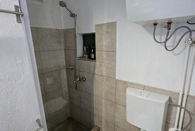 Casa individuala la curte Bucurestii Noi - 9