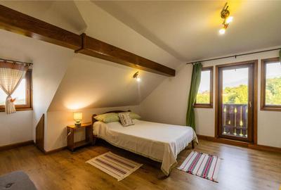 FILM! Pachet complet pt turism si sau rezidenta, Tohanita, Z - 35