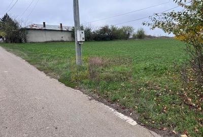 Teren agricol intravilan de 5000 mp, în Comana - 1
