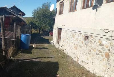 Casă cu 3 camere cu Teren 10000 Mp în Bustuchin - 2