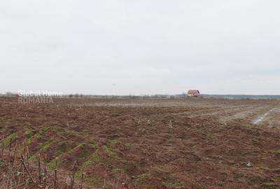 Teren agricol extravilan de 4000 mp, în Corbeanca - 3