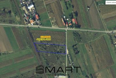 Teren extravilan 4800mp la intrare in Mohu - 1