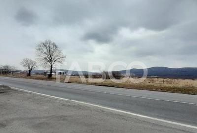 Teren de 15000 mp, în Tălmaciu - 7