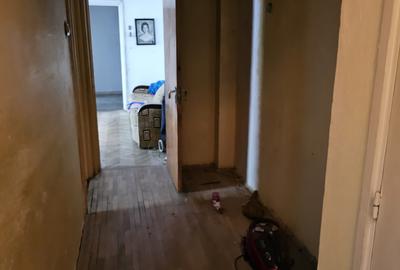 Titan-aleea Barajul Cucuteni - 8