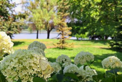 Vilă la liziera pădurii Mogoșoaia - 23