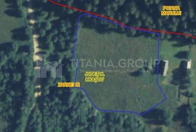 Platou montan, 6631 mp intravilan, electricitate,  langa pădure - 6