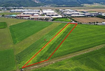 Teren intravilan - 3