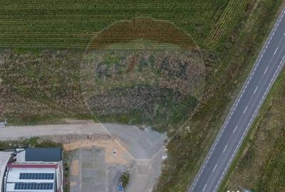 Teren de 440 mp, în Baciu - 14