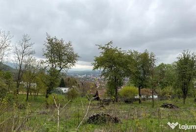 Teren în Central