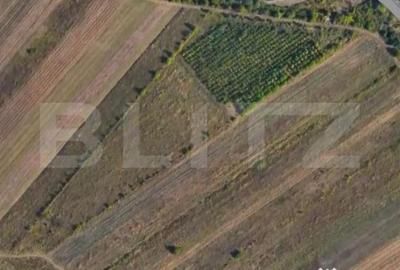 Teren de 24712 mp, în Central - 2