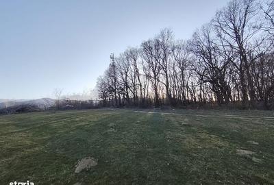 Teren de 1900 mp, în Rășinari - 2