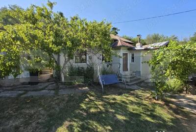 Casă cu 3 camere cu Teren 1820 Mp în Centură - 3