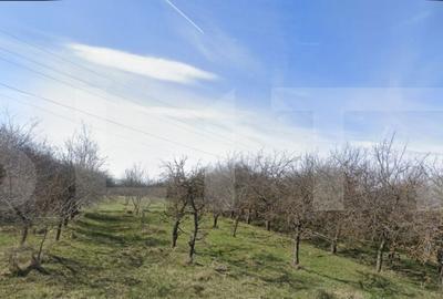 Spațiu comercial, în Feleacu - 3