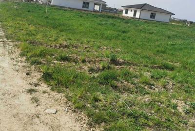 Spațiu comercial, în Central