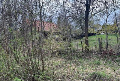 Breaza - str.Plaiului, Coasta Berzei nr.54, teren 1400 mp - 2