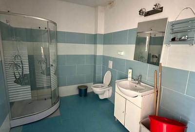 Casă cu 7 camere cu Canalizare în Făget - 11