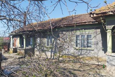 Casă cu 5 camere cu Teren 1300 Mp în Vieru - 6